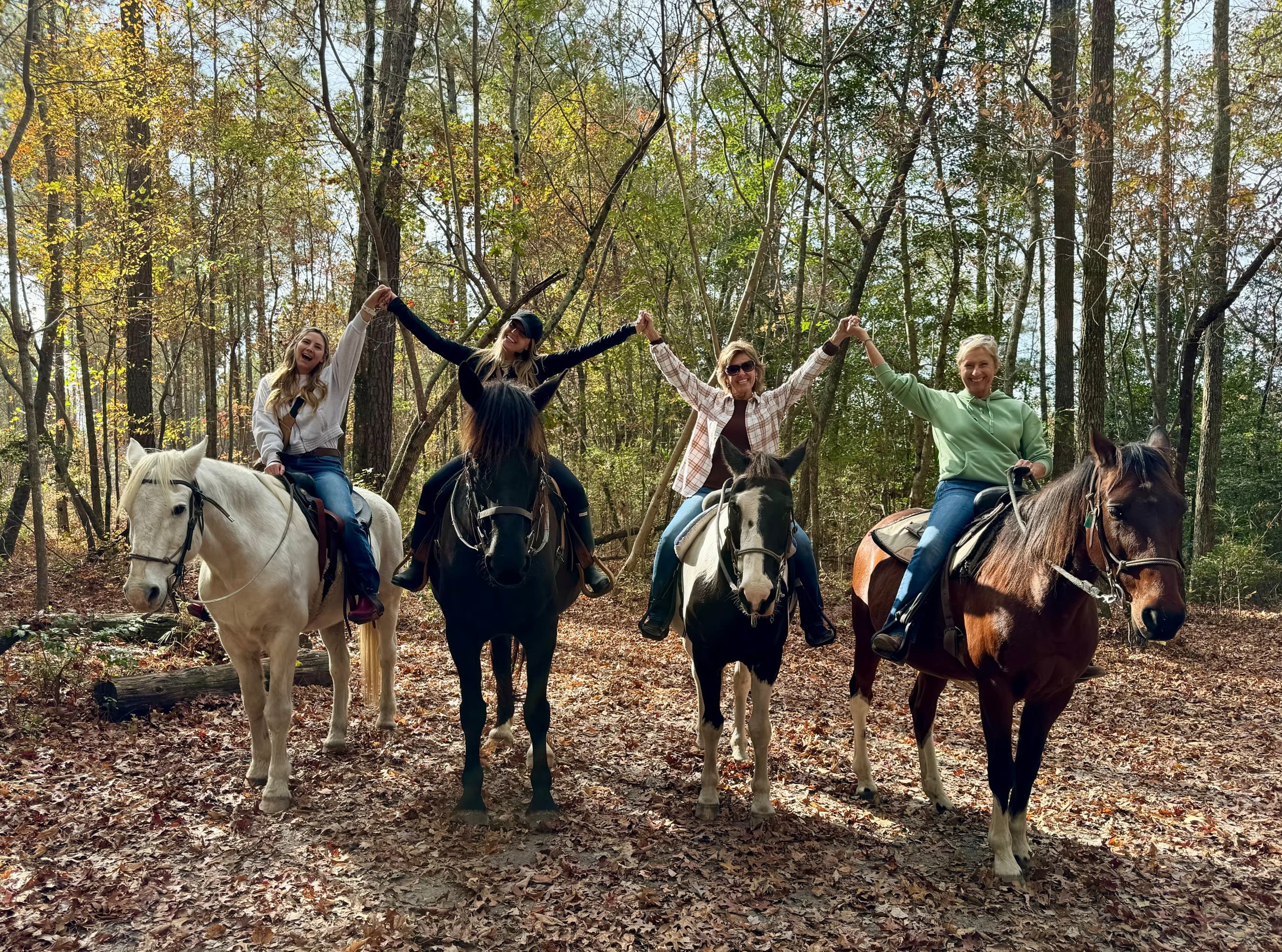 Group Guided Trail Riding