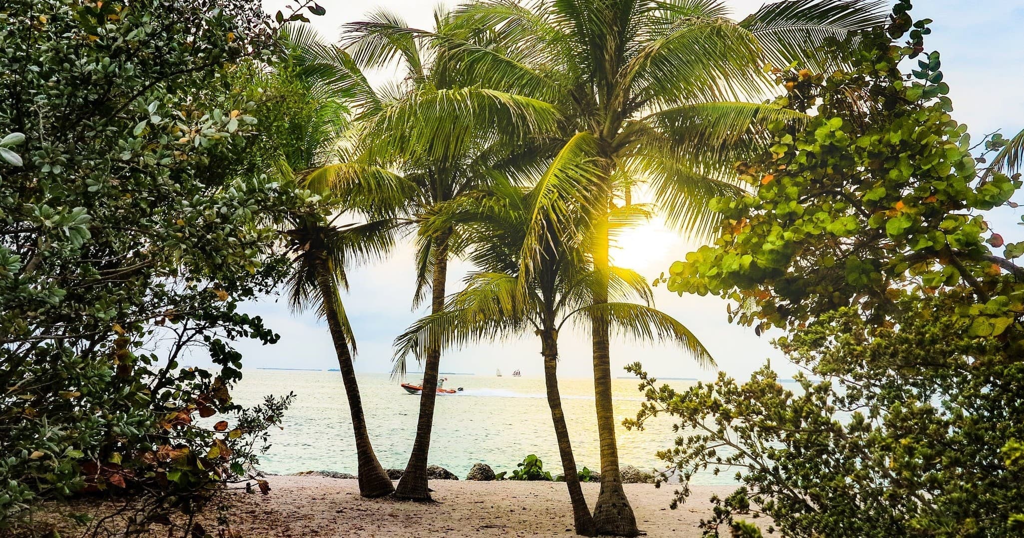 Site Seeing and Island Hopping