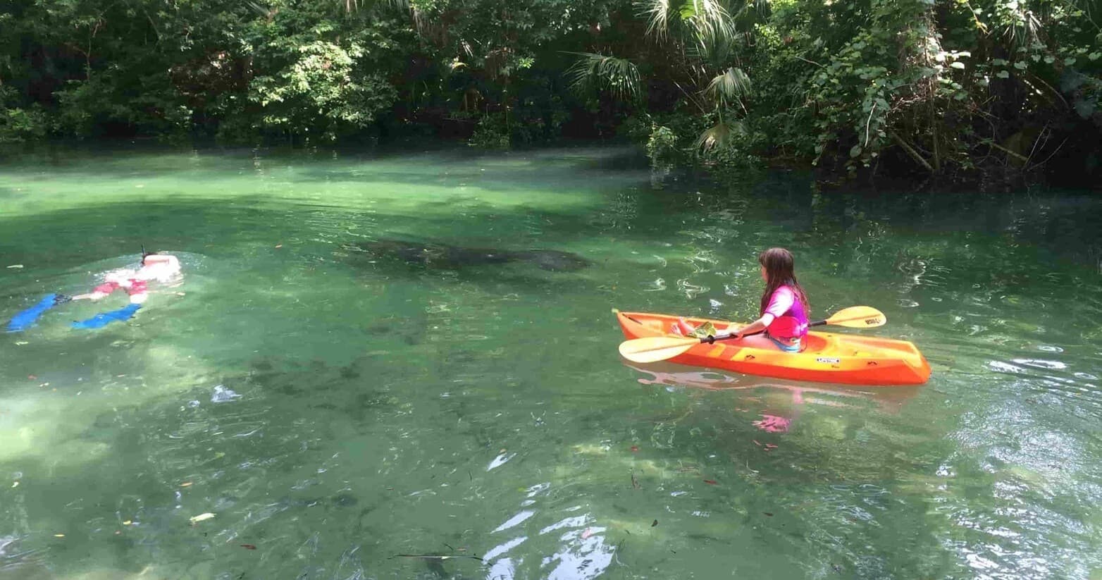 Weeki Wachee Kayaking