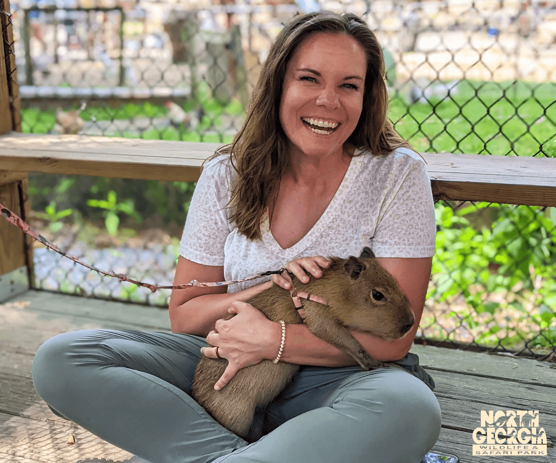 Baby Capybara Experience