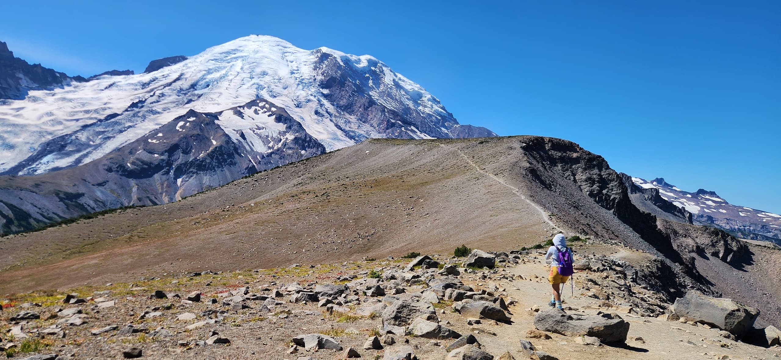 Mount Rainier Hike