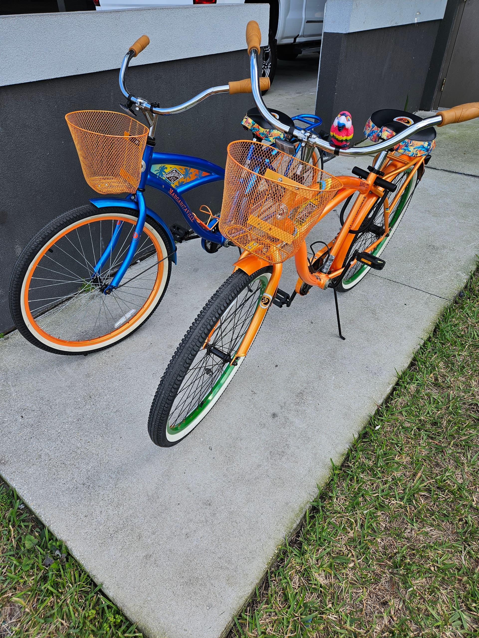 Bicycle Rental