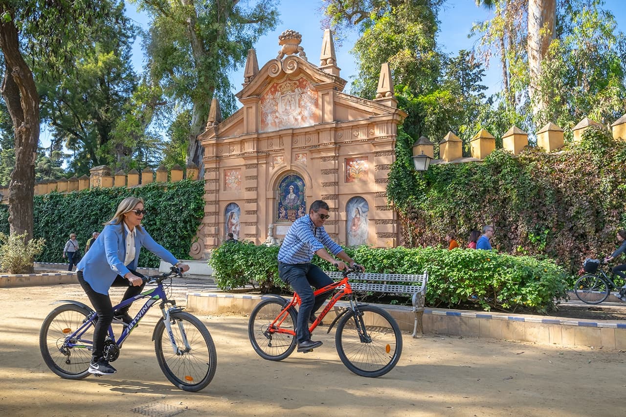 Alquiler de bicicleta de montaña
