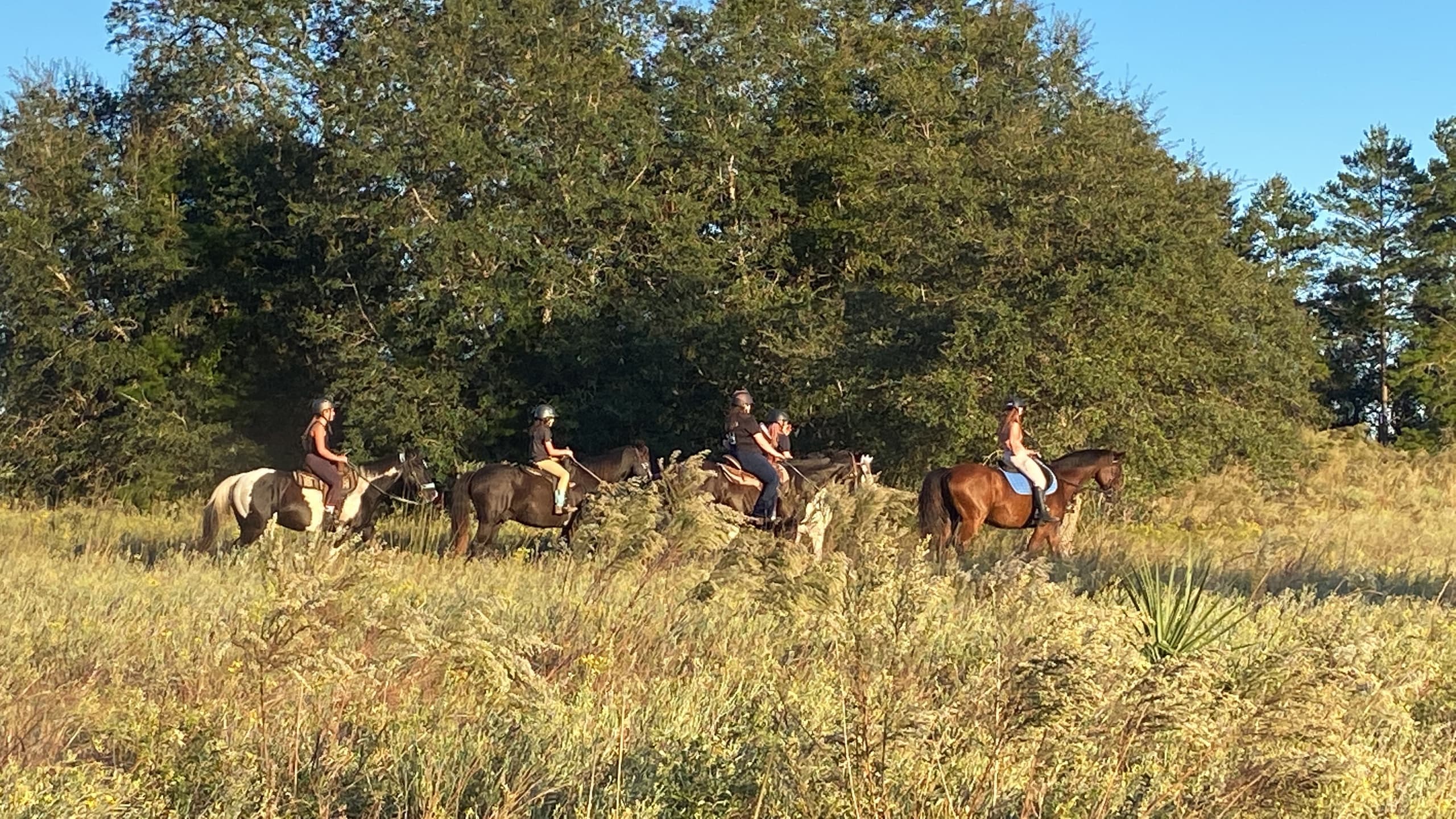 Two Hour Guided Trail Ride to Princess Place