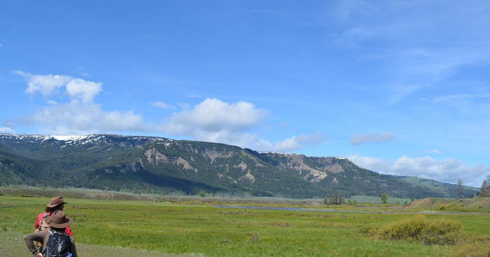 Lamar Valley Full Day Hiking Adventure
