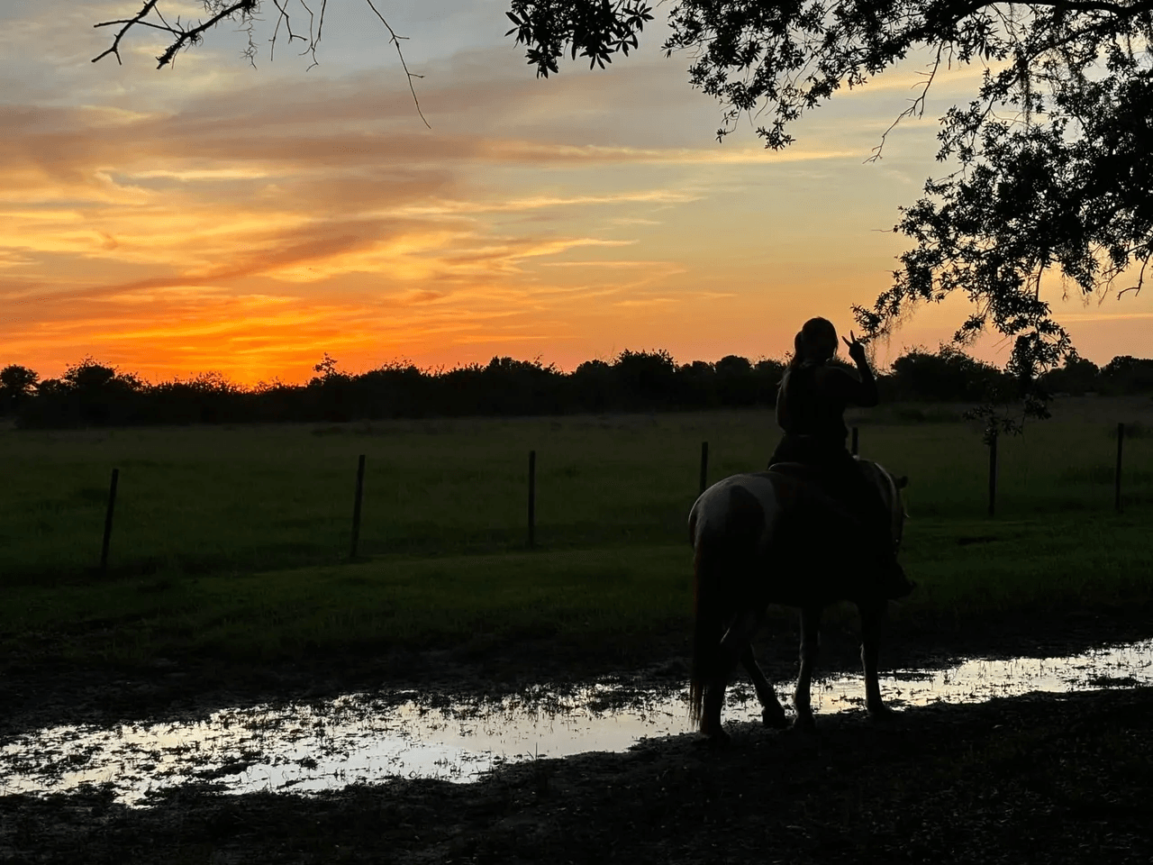 Beginner Private Lessons
