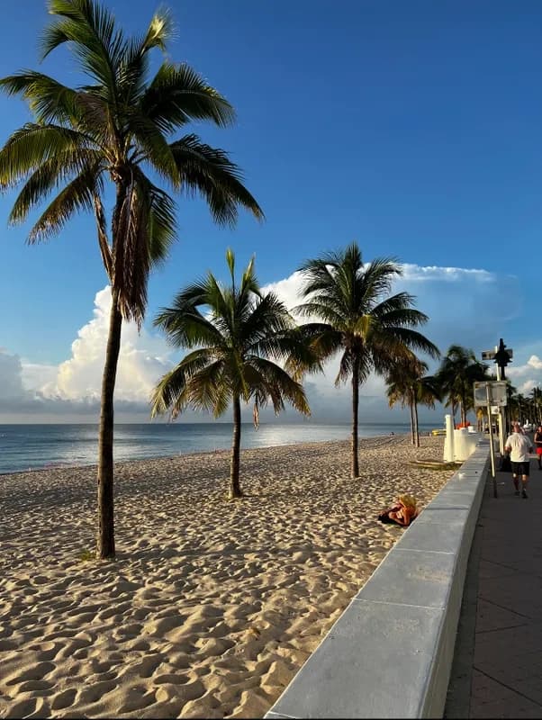 Beach Tours