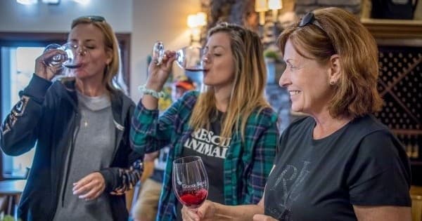 Woodinville Wine & Snoqualmie Falls Tour