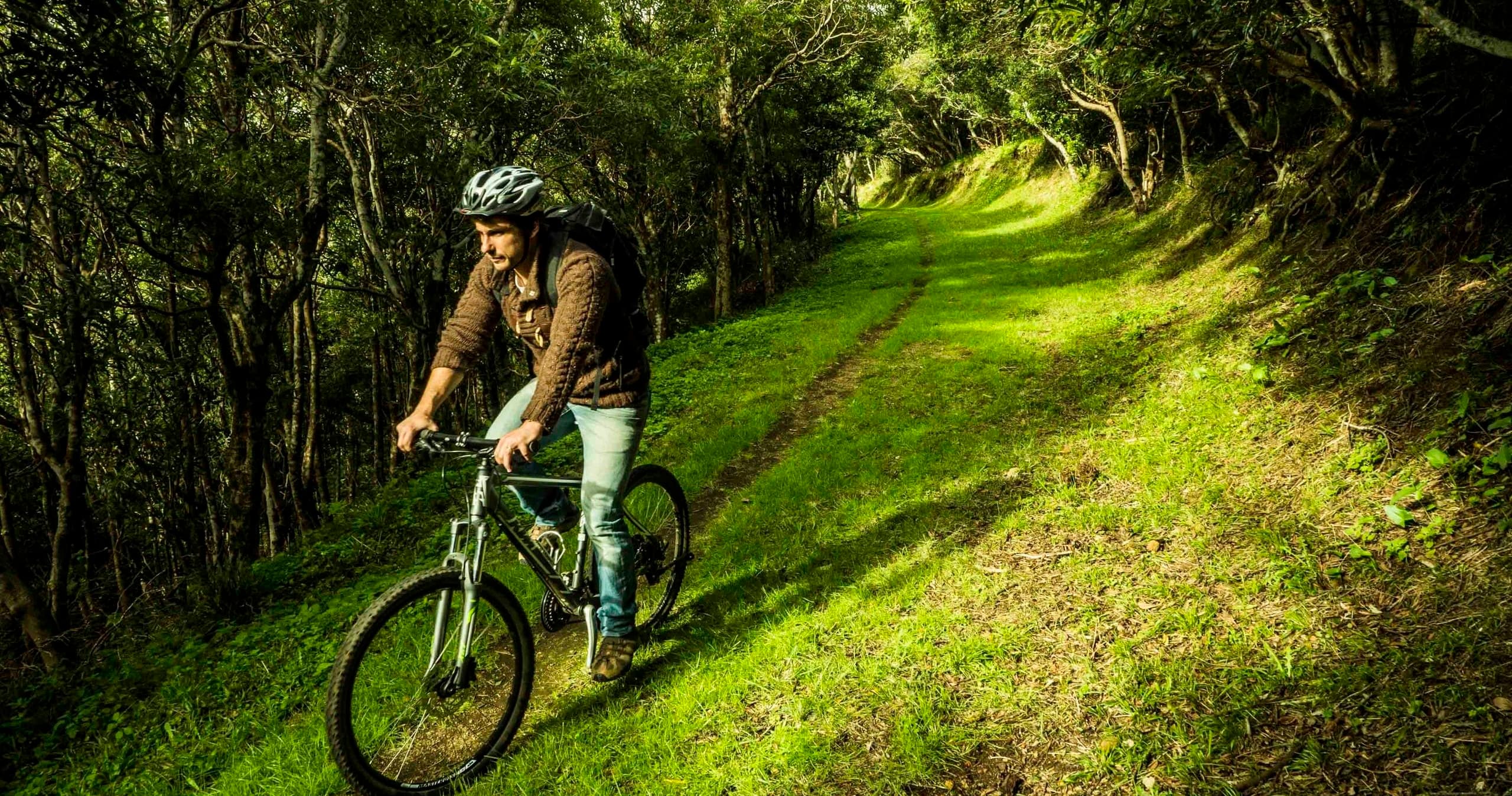 Aventura BTT