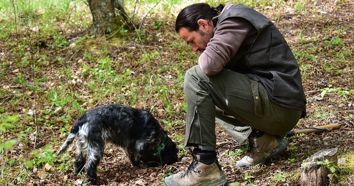 Caccia al tartufo e pranzo biologico umbro
