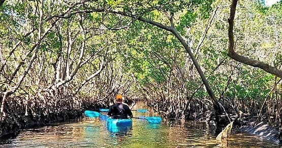 Tandem (2-person) Perception Kayak Rental