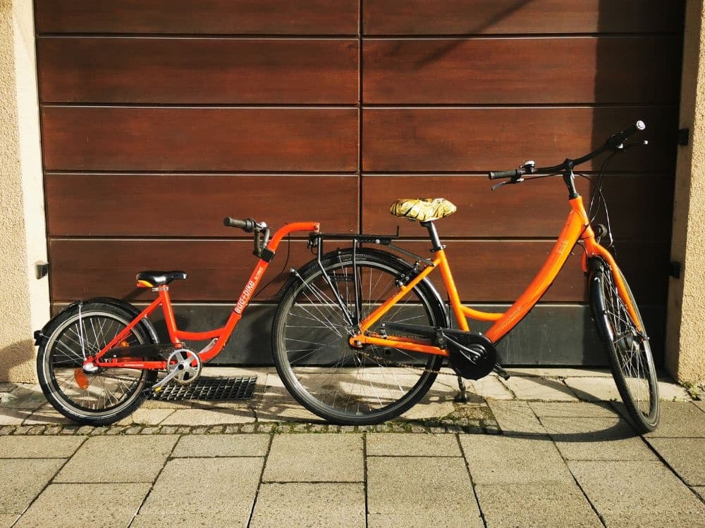 City Bike incl. Tag-a-long Same Day Rental