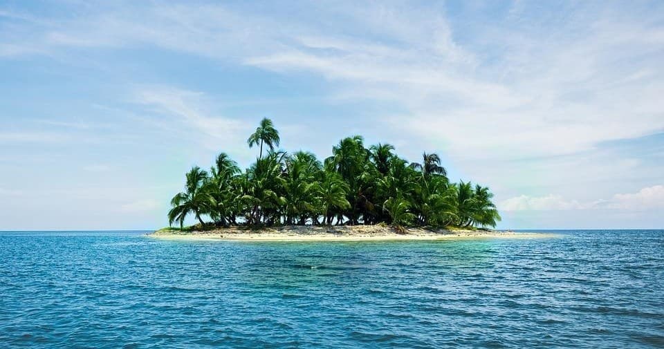 Survivor Island Escape Room