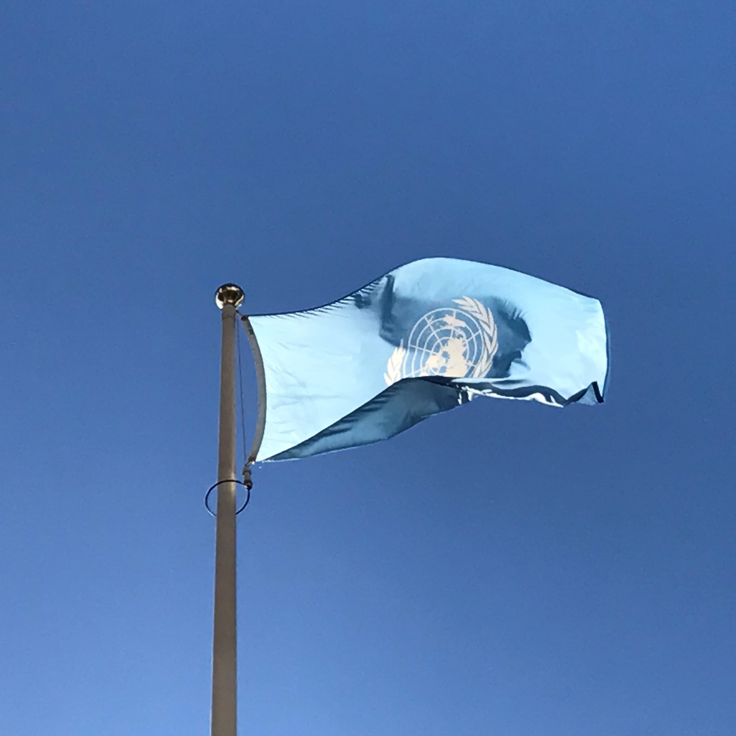Private UN Vienna Tour