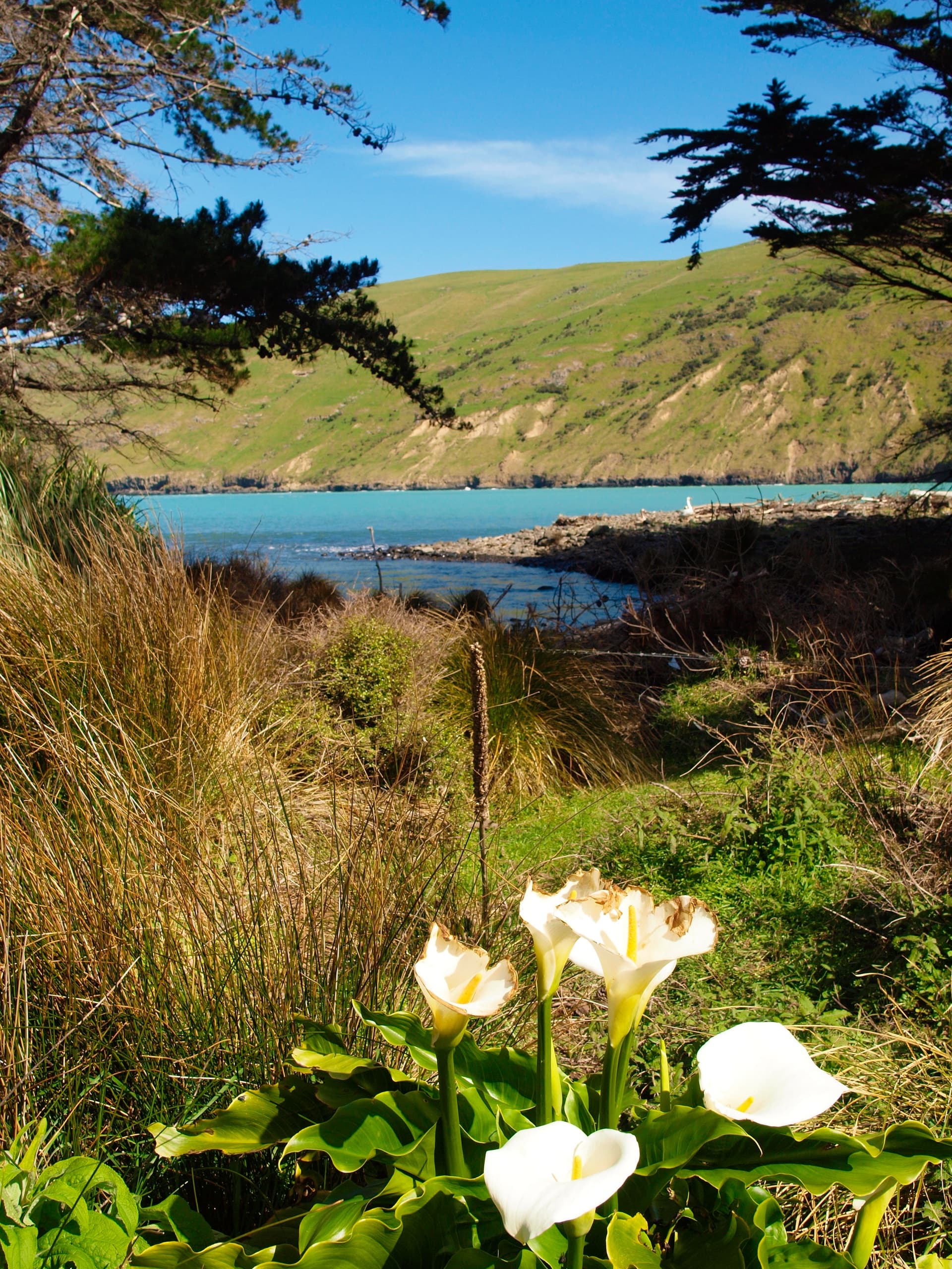 Pōhatu Package