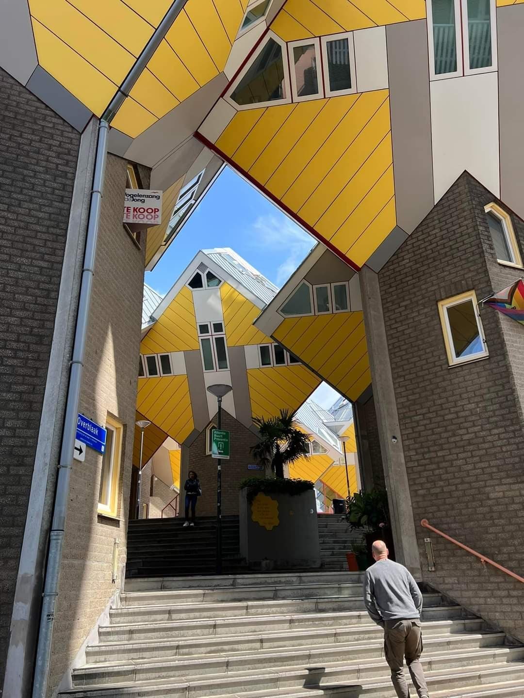 Delft + Rotterdam Tour