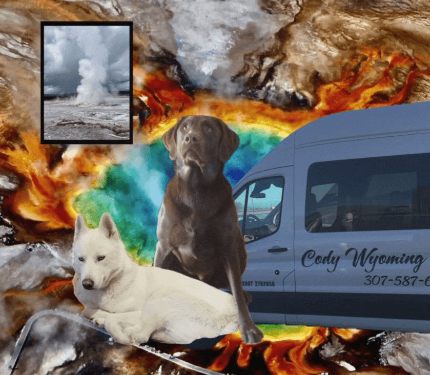 Private “Pet Friendly” Yellowstone Lower Loop Tour For Up To 6 Guests!