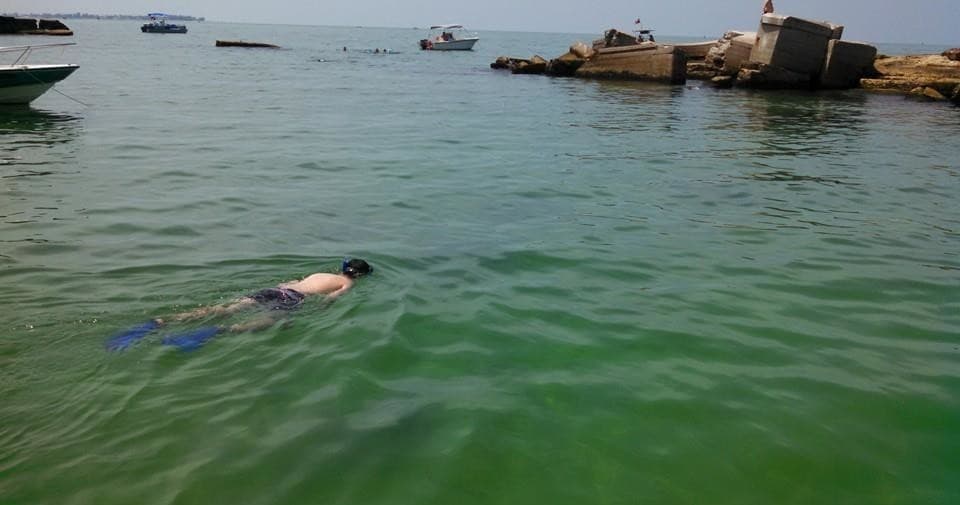 Private Snorkeling Charter: Egmont, Outback & Shell Keys