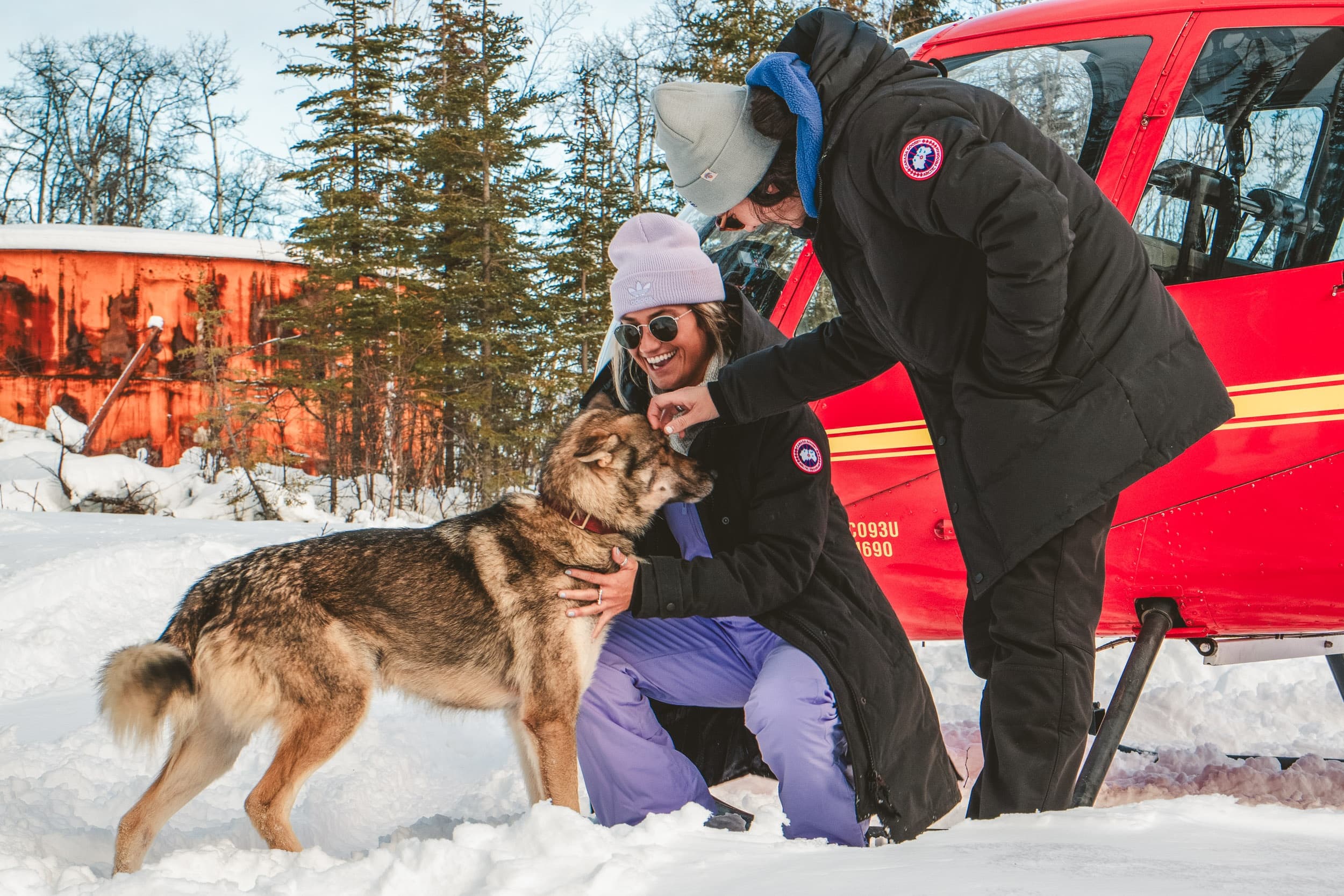 Iconic Alaska - Dog Mushing & Glacier