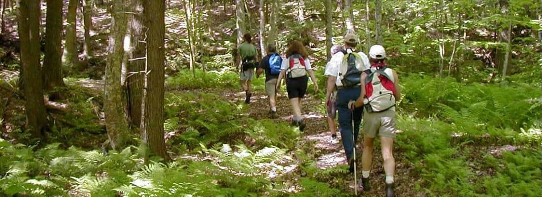 Hiking Tour