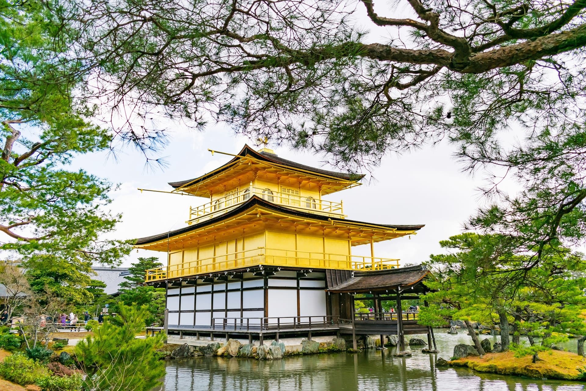 Kyoto: Full-Day Guided BusTour to Top Highlights with Tickets