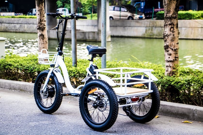 Bear Lake - E-Trike Rental