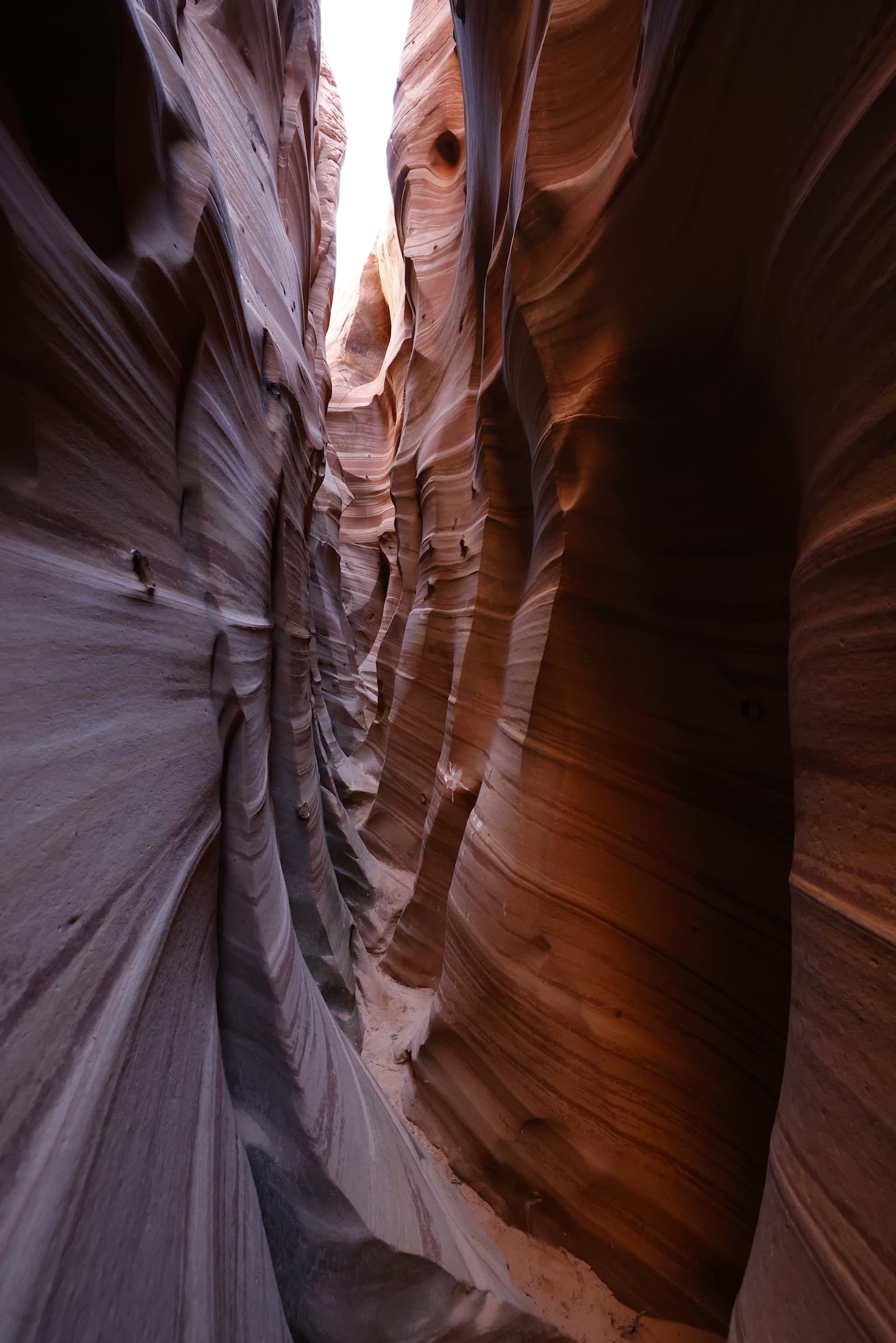 Zebra Slot Canyon Hiking Tour