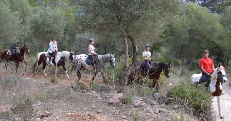 Excursión de 2 horas