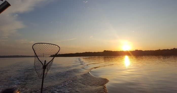 Sightseeing and Sunset Cruise