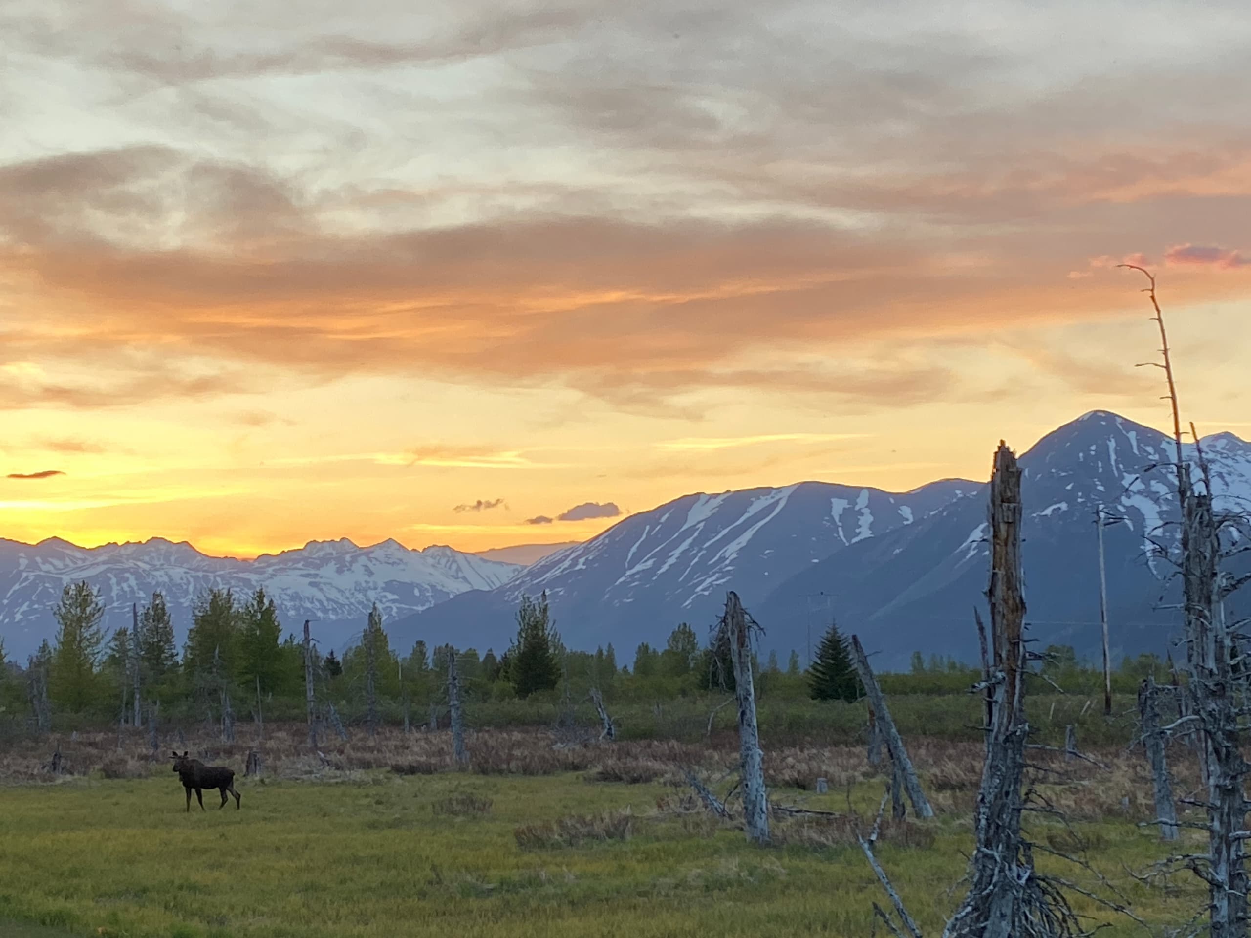 Anchorage to Seward: Hiking and Wildlife Adventure