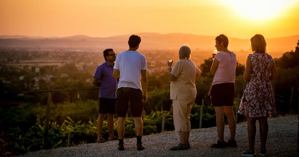 Degustazione all'aria aperta di Vini BIO con Vista!