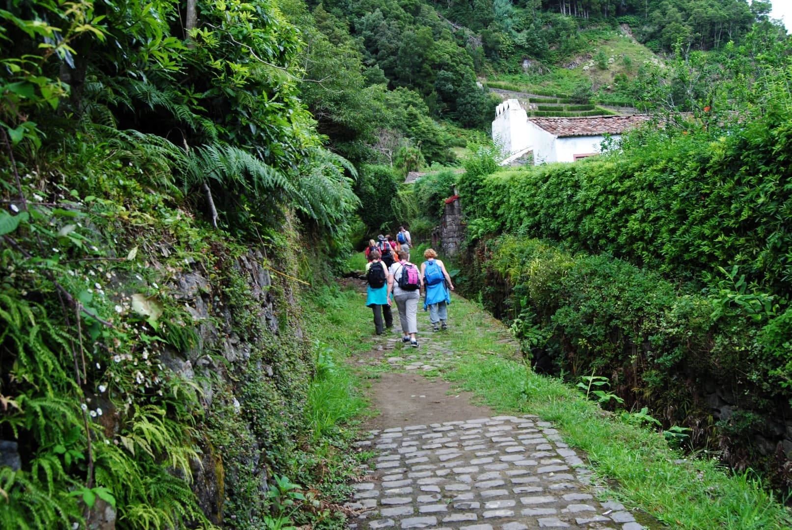 Hiking Tour Listing