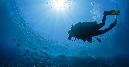 OPEN WATER CLASS SDI - Semi-Private Class with eLearning