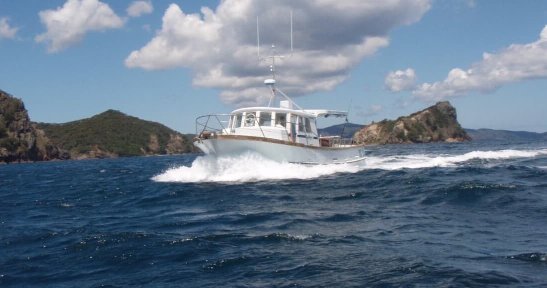 West Coast Tour (Sightseeing only, onboard lunch included!)