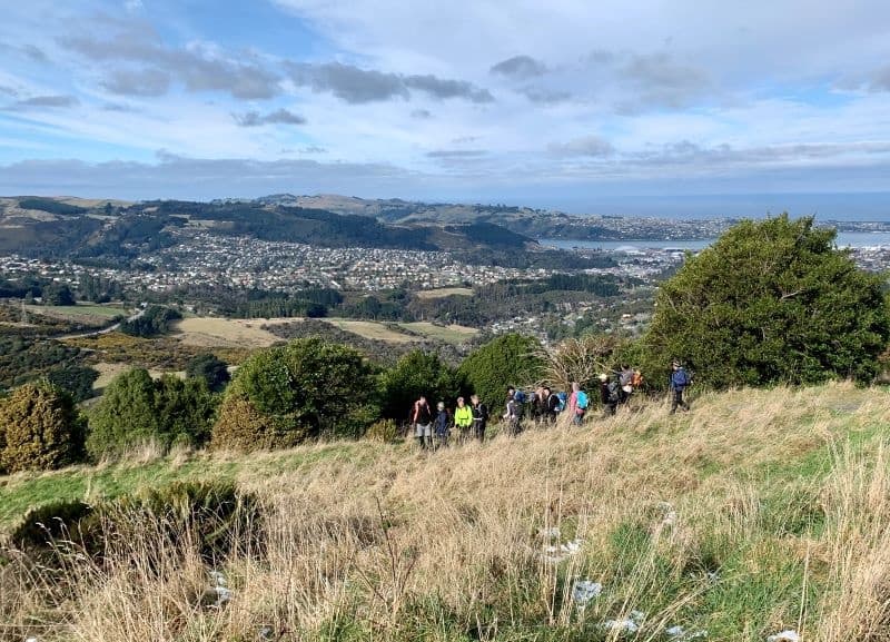 A foraging journey