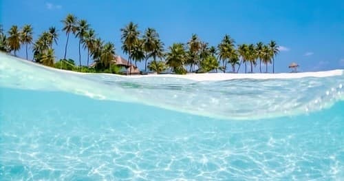 Private Shell Island Cruise on the Island Time" Catamaran"