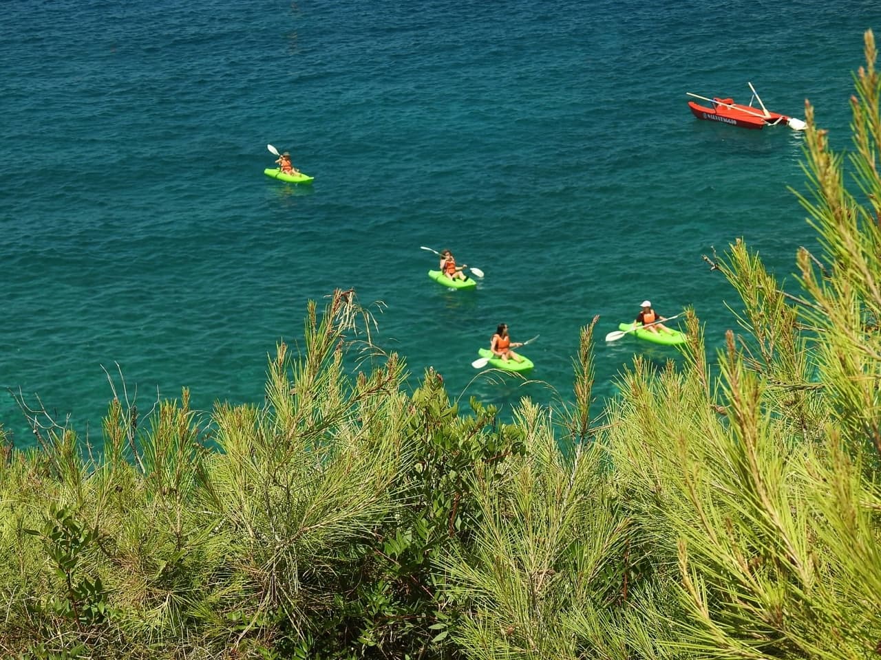 Grupos Kayak