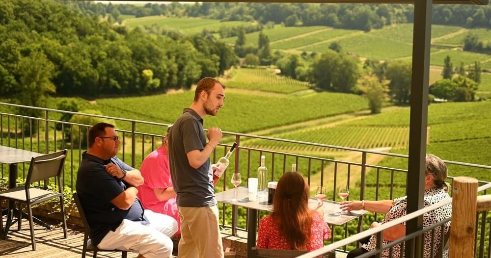 Vertical Vintage Wine Tasting Experience
