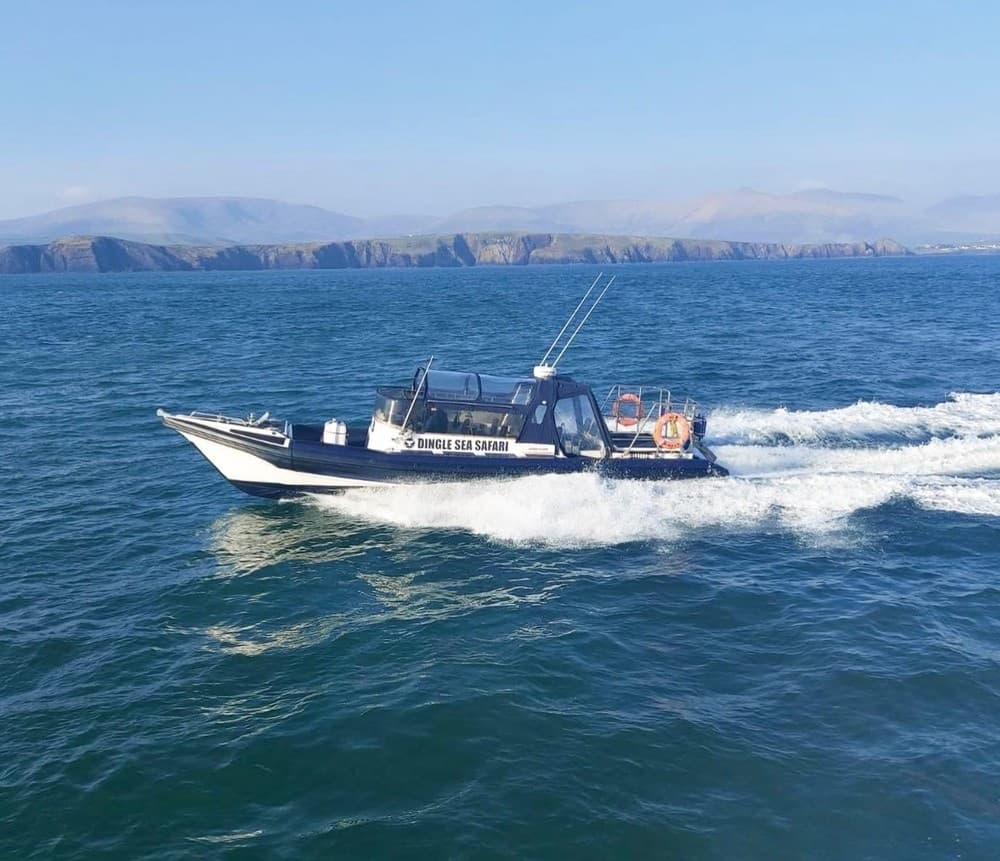 VIP Private Hire Bespoke Dingle Sea Safari Rib Tour
