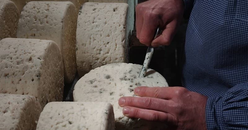 Roquefort Cheese Cellars & Tasting Experience