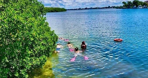 Private Snorkel Charter