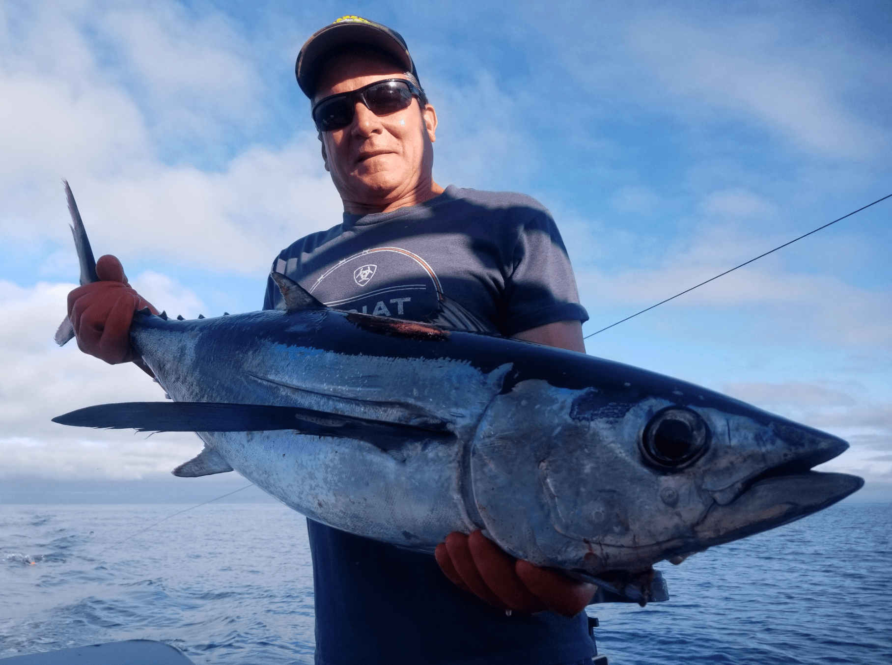Tuna Flex