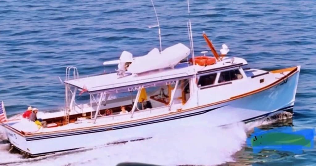 Mid-Day Harbor Tour