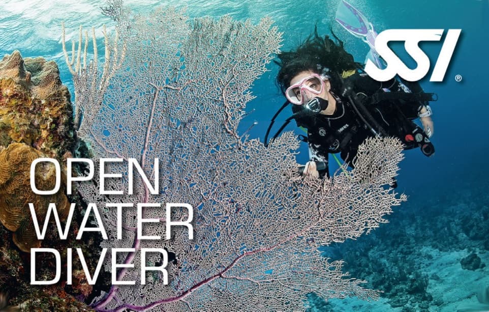 SSI Open Water Diver