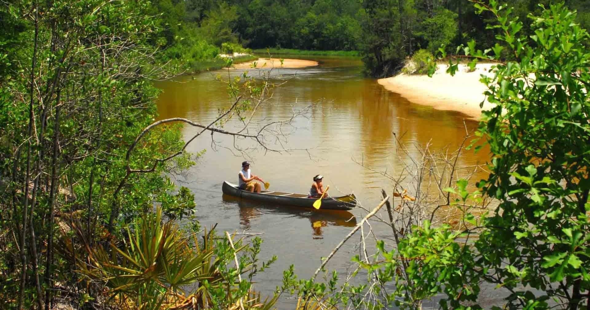 Blackwater Day Trip