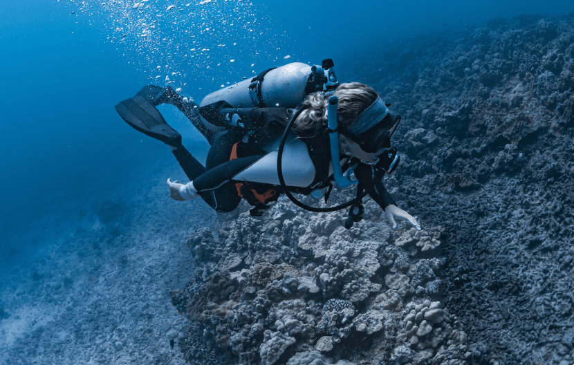 FIRST TIME: Semi-Private 2 Tank Discover Scuba Dive Boat Experience