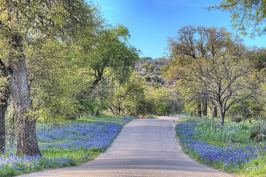 Willow City Loop 6-Hour Self-Guided Tour