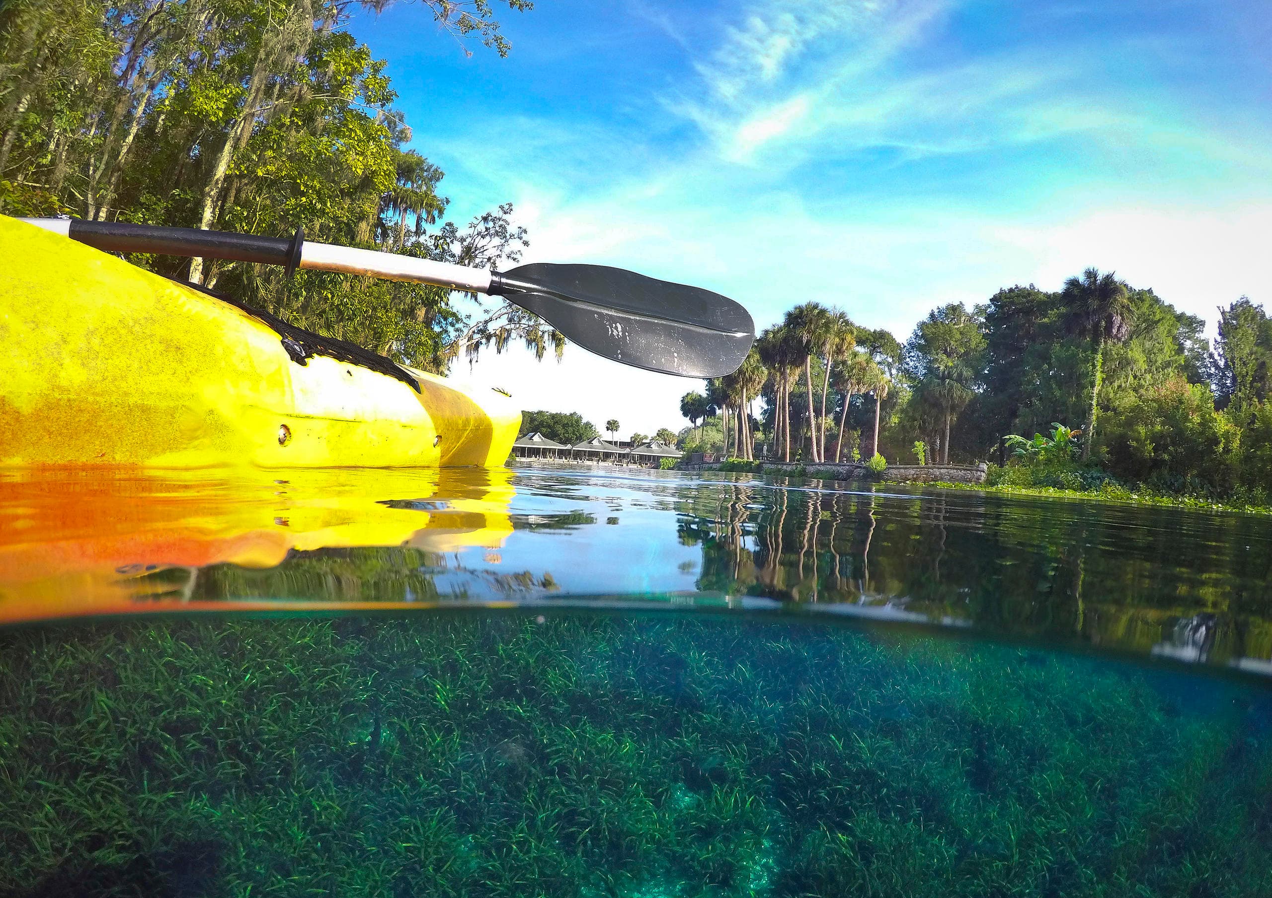 Guided Paddle Tour
