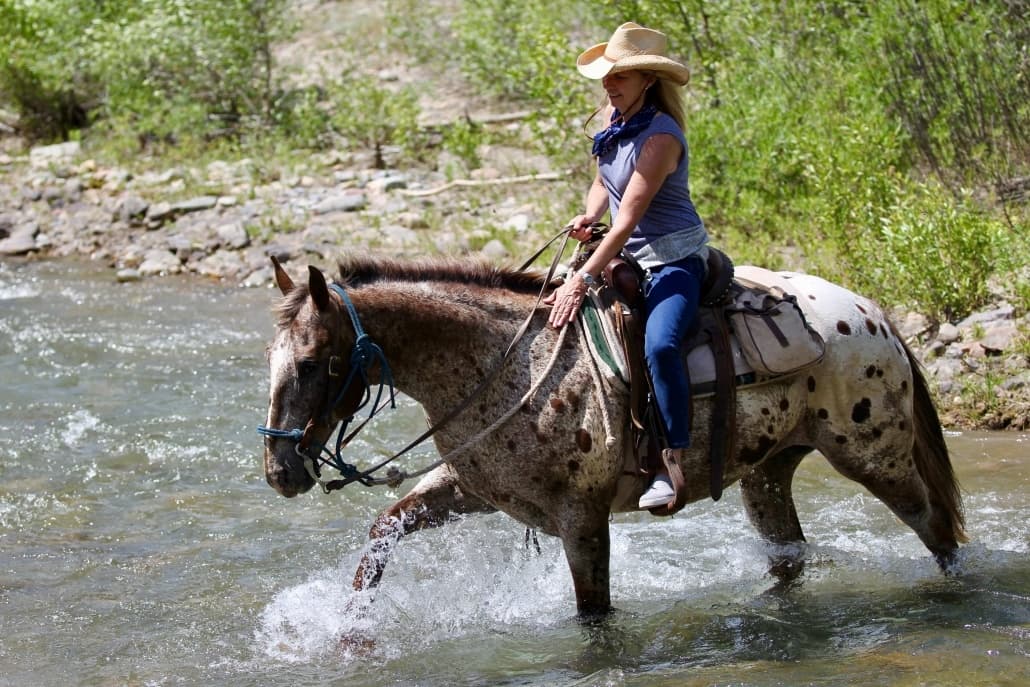 Full Day Wilderness Ride