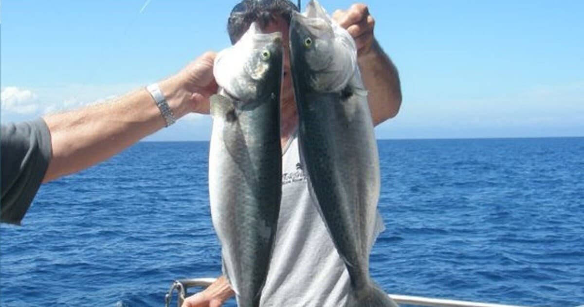 Full Day Fishing (Private charter)